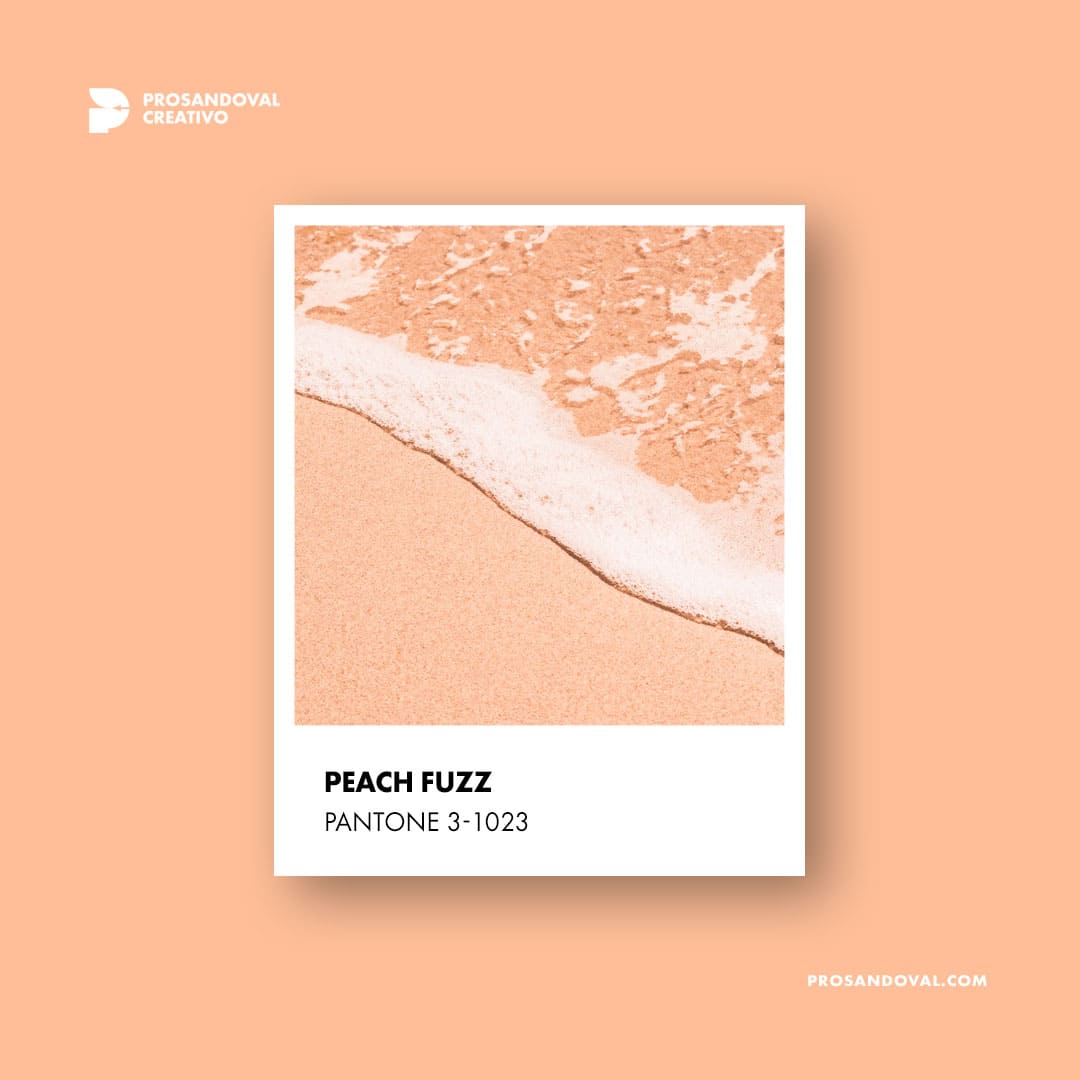 PANTONE 13-1023 Peach Fuzz color del año 2024
