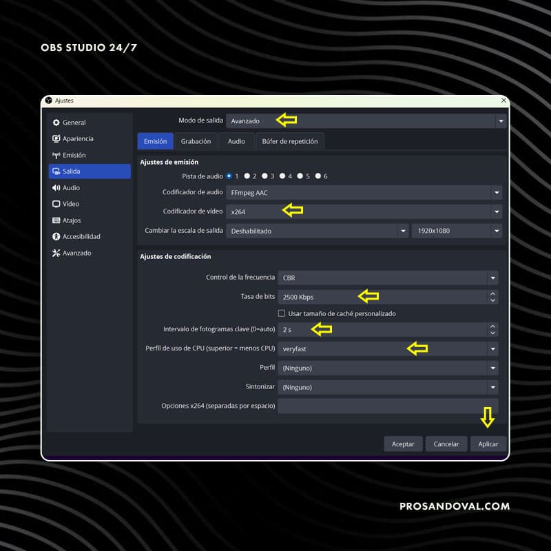 Configuración de Salida - OBS Studio 24/7 streaming live