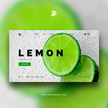 Diseño página web para agricultura