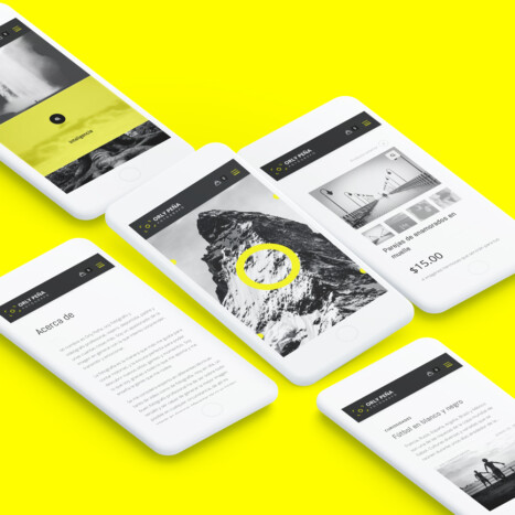 Diseño página web para fotografía Orly