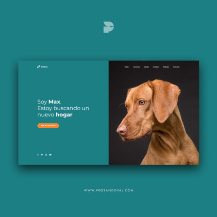 Diseño Página web para fundación de perros Patikas