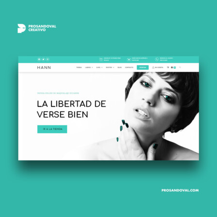 Diseño tienda online de cosméticos Hann Store rediseño