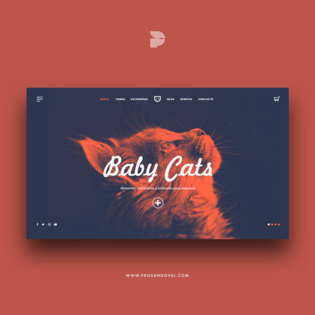 Diseño tienda online para gatos prosandoval ecuador