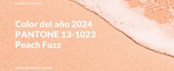 Significado PANTONE 13-1023 Peach Fuzz color del año 2024