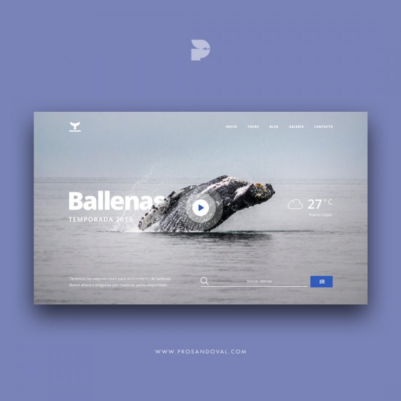 Diseño página web para excursiones