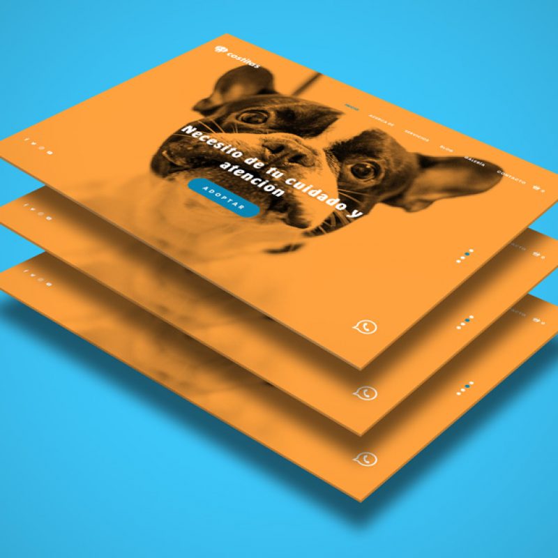 Diseño tienda online para mascotas Costitas